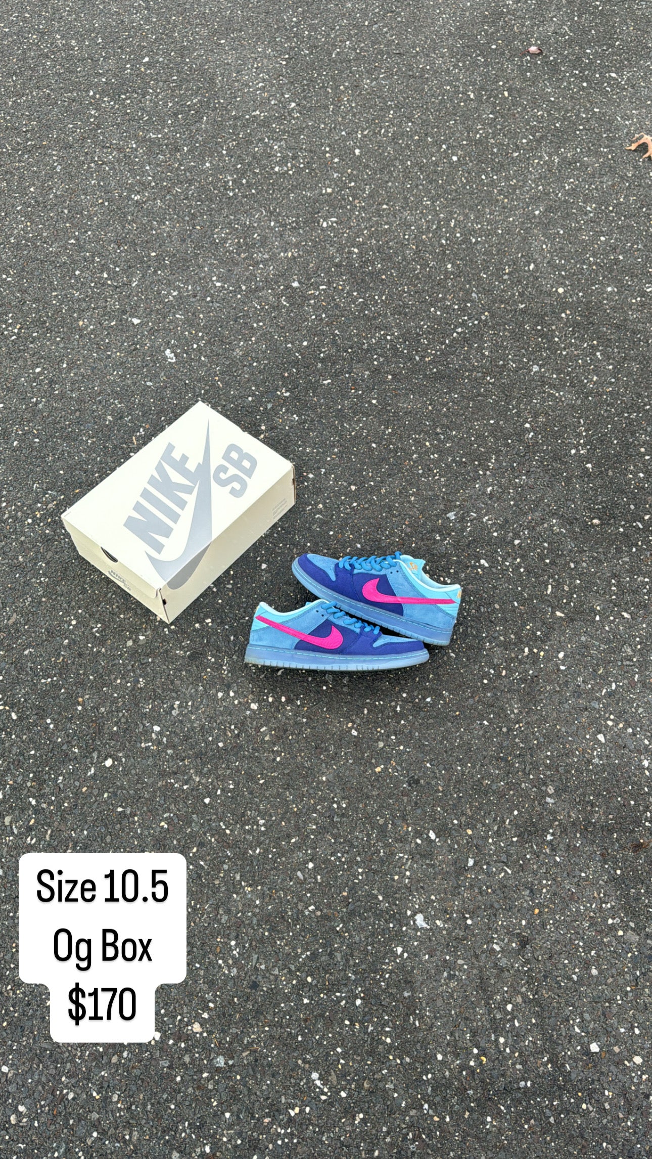 Run the jewel sb (10.5)