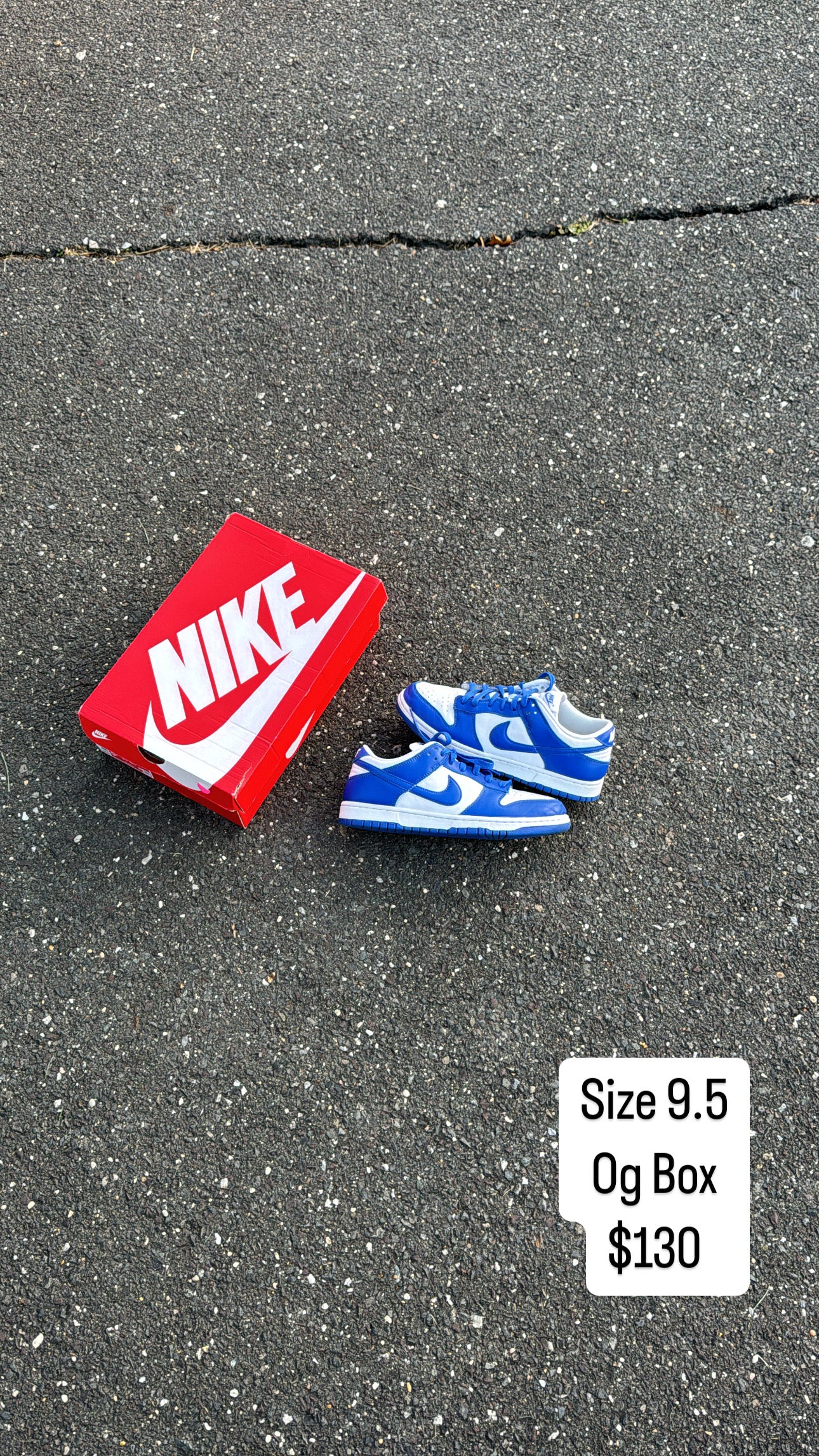 Kentucky Dunk (9.5)