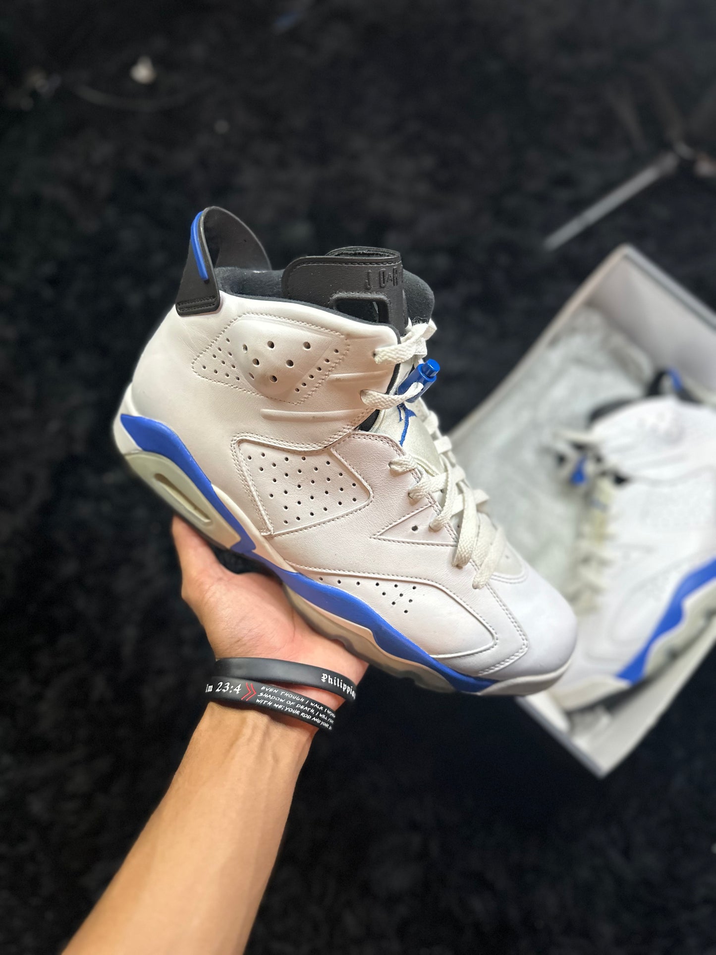 Jordan 6 Sport Blue (12)