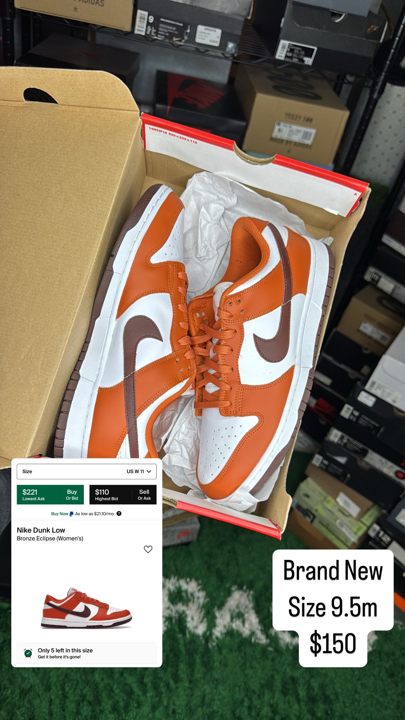 DS Bronze Eclipse Dunk (9.5m)