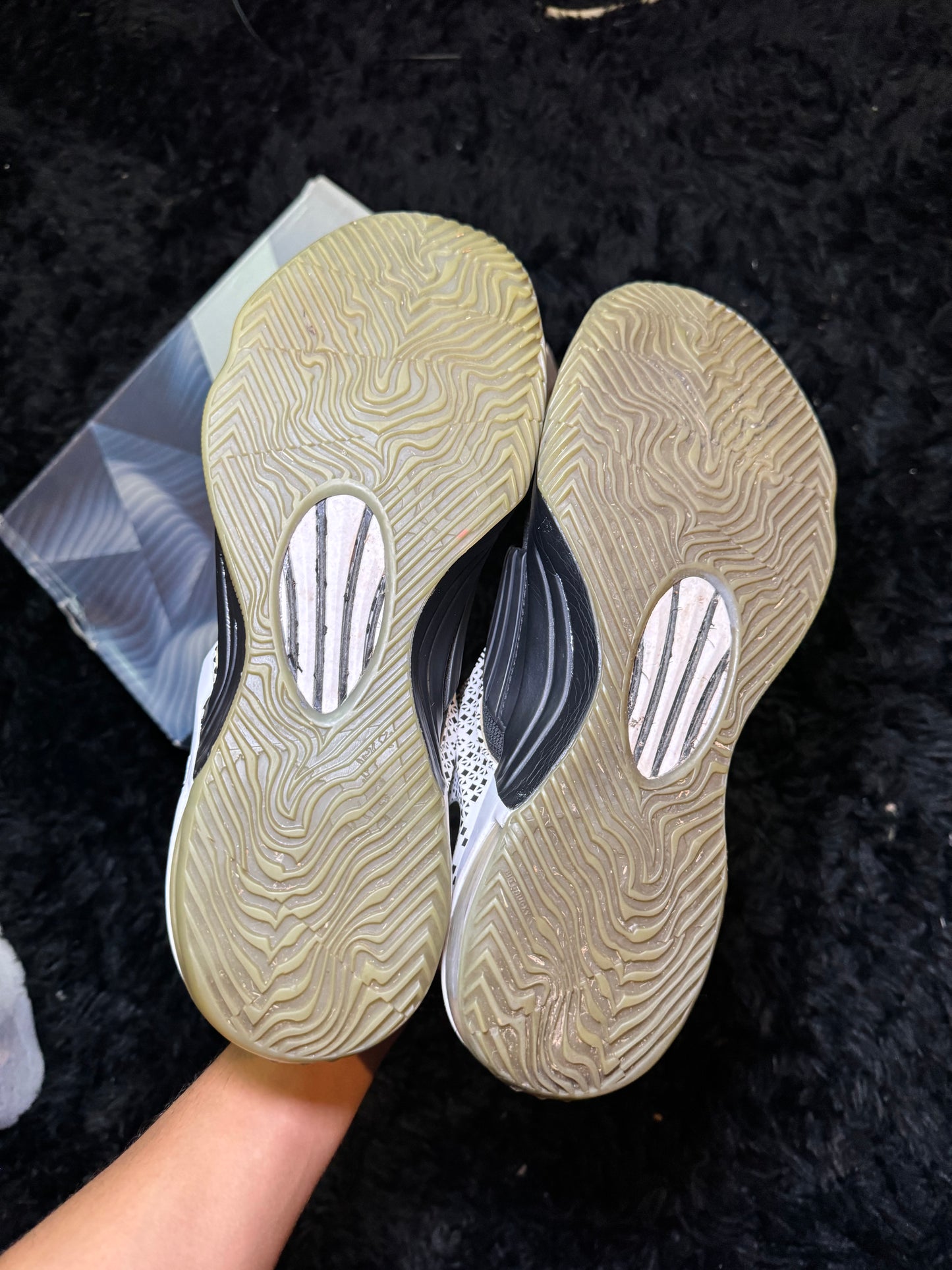 KD7 BHM (10.5)
