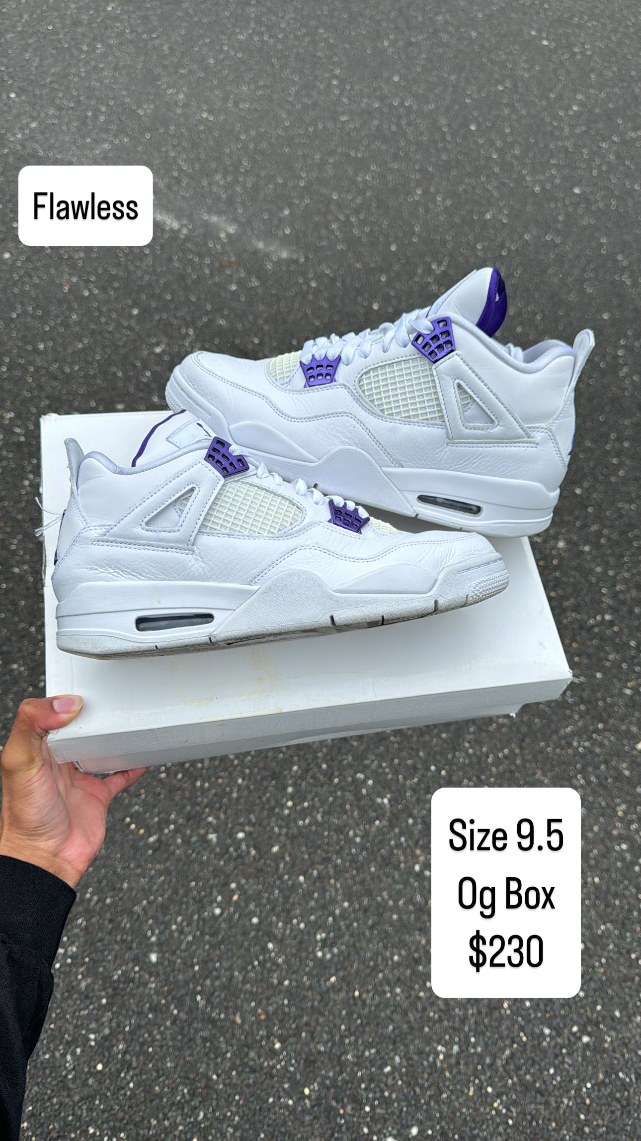 Purple Metallic 4 (9.5)