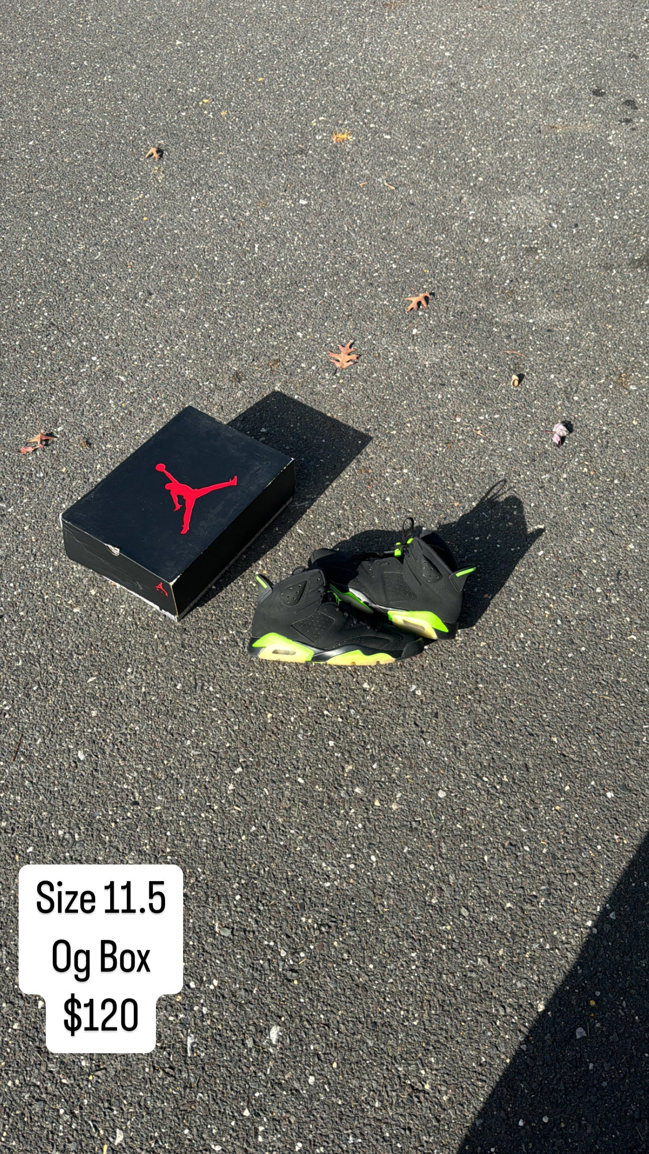 Electric Green 6 (11.5)