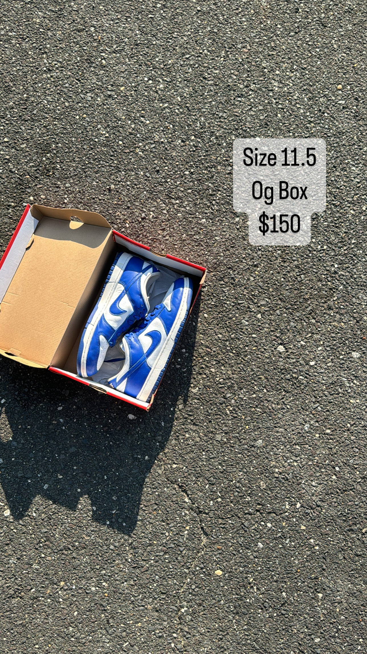 Kentucky Dunk (11.5)
