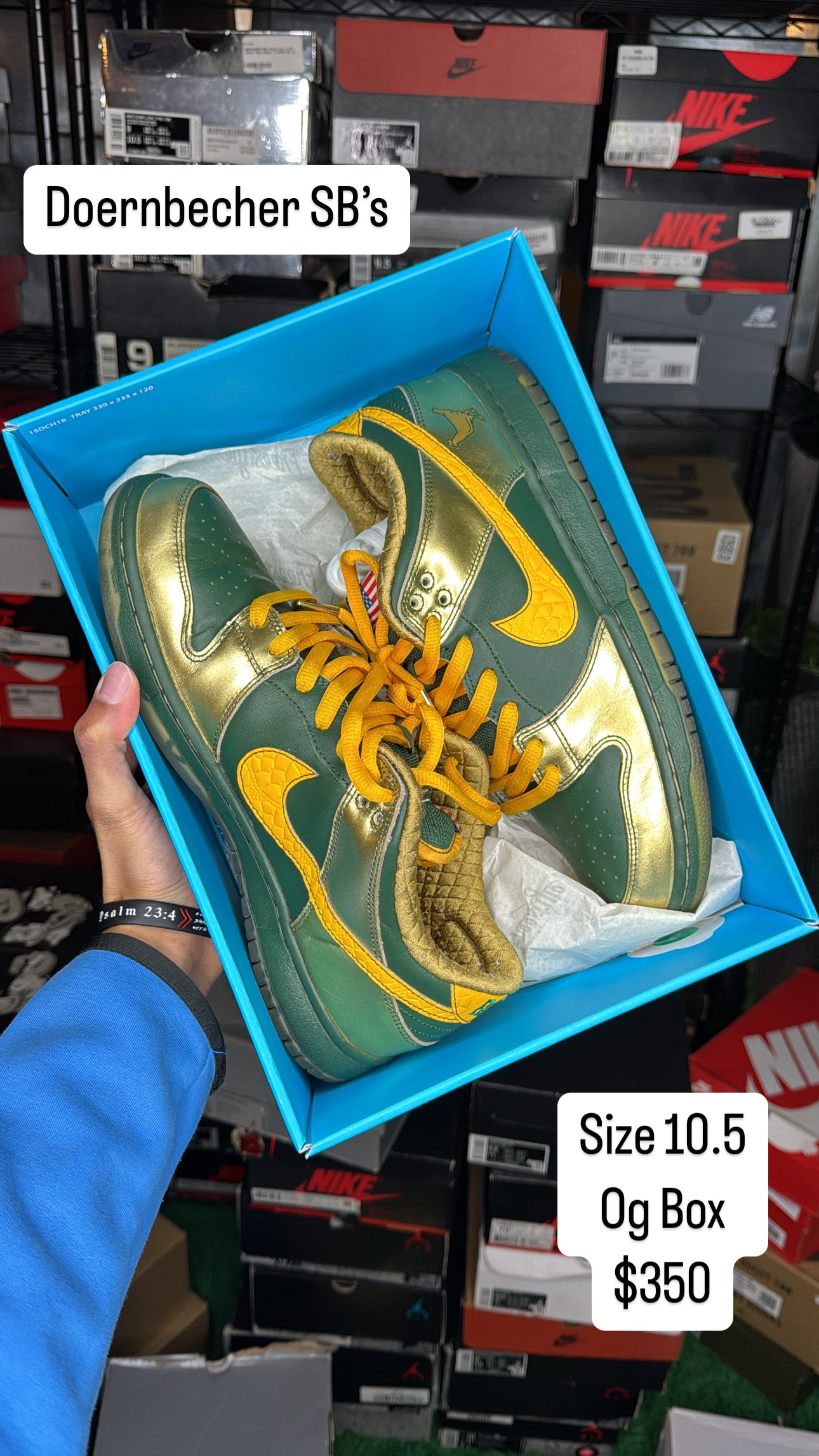 Doernbecher SB (10.5)