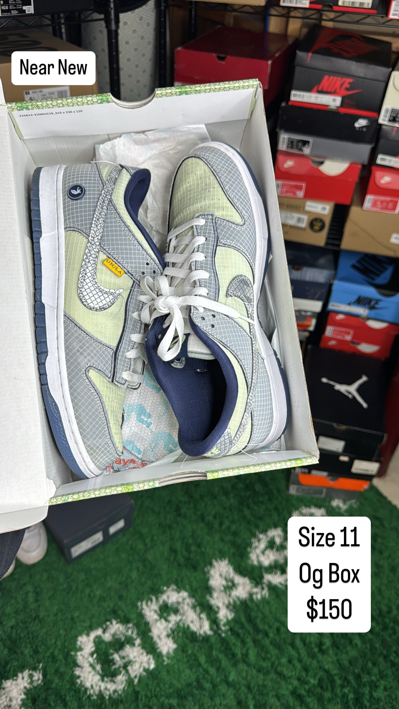Union Dunk (11)