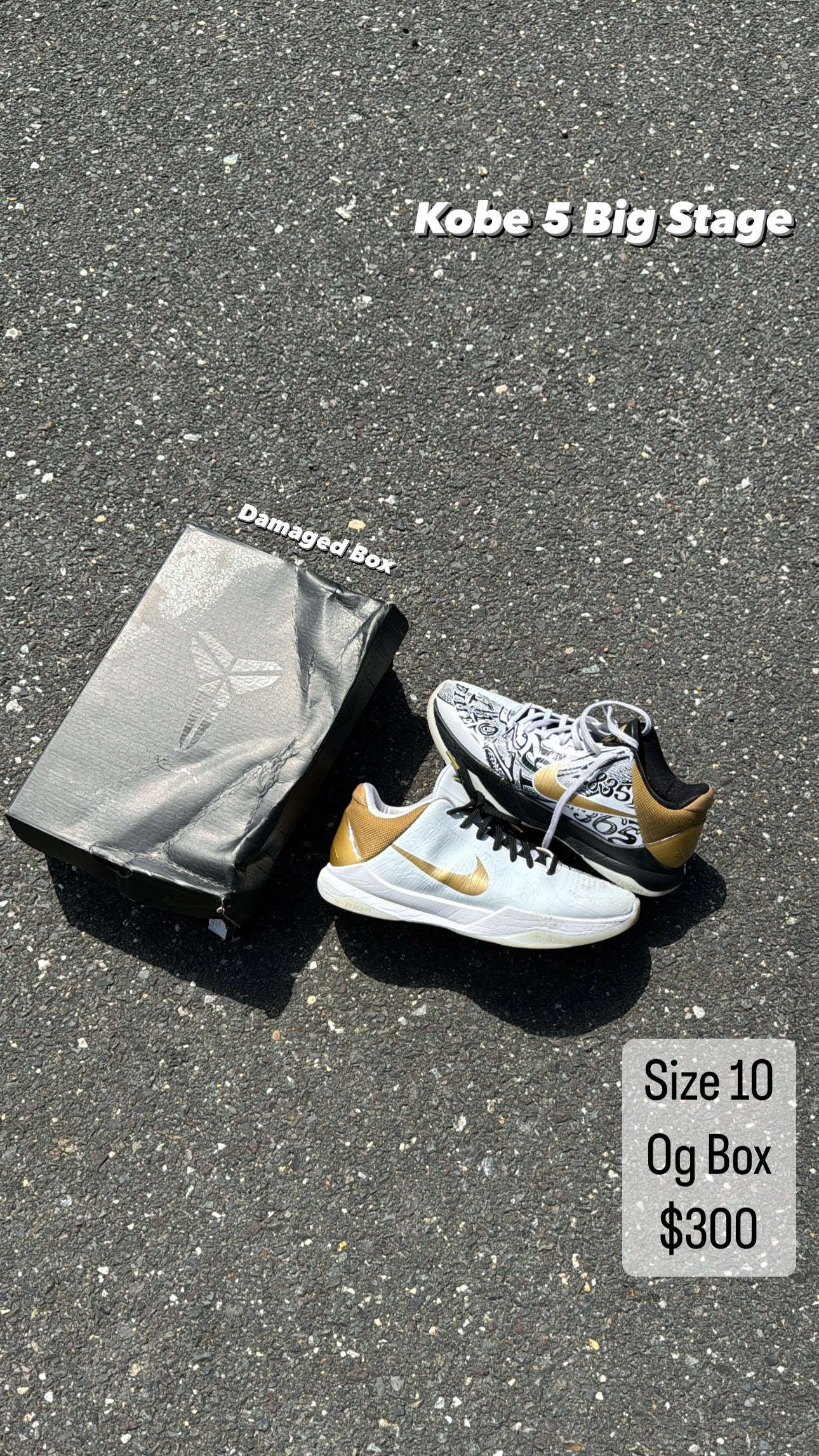 Kobe 5 Big Stage (PRICE DROP)