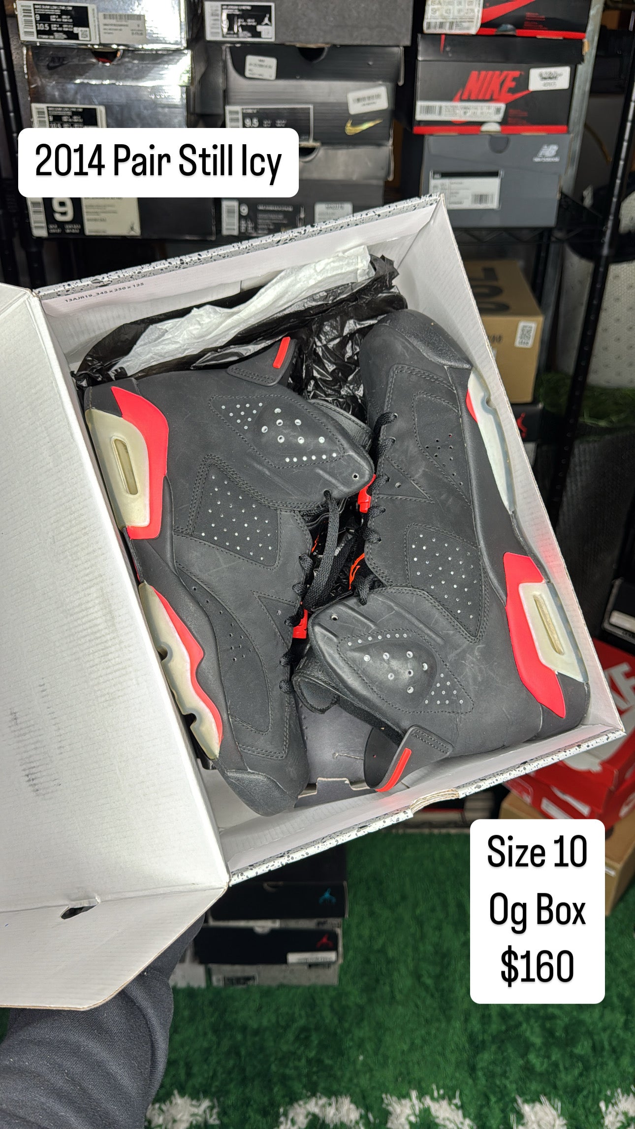Infrared 6 (10)