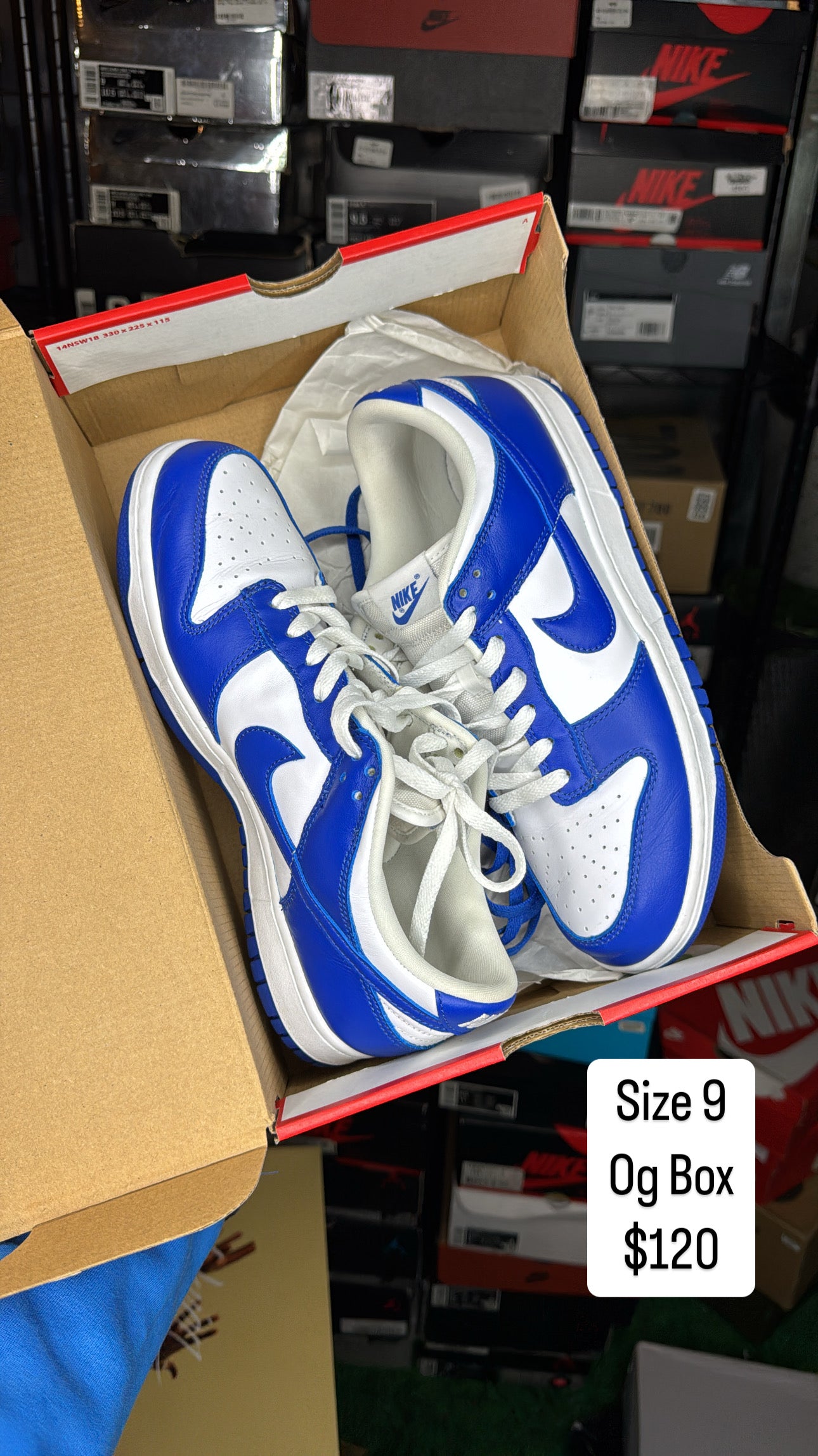 Kentucky Dunk (9)