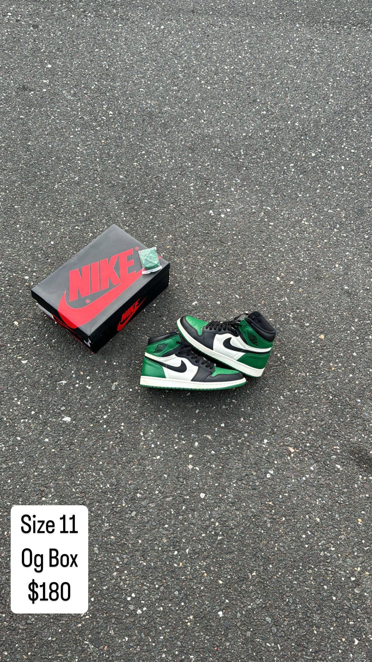 Pine green 1 1.0 (11)