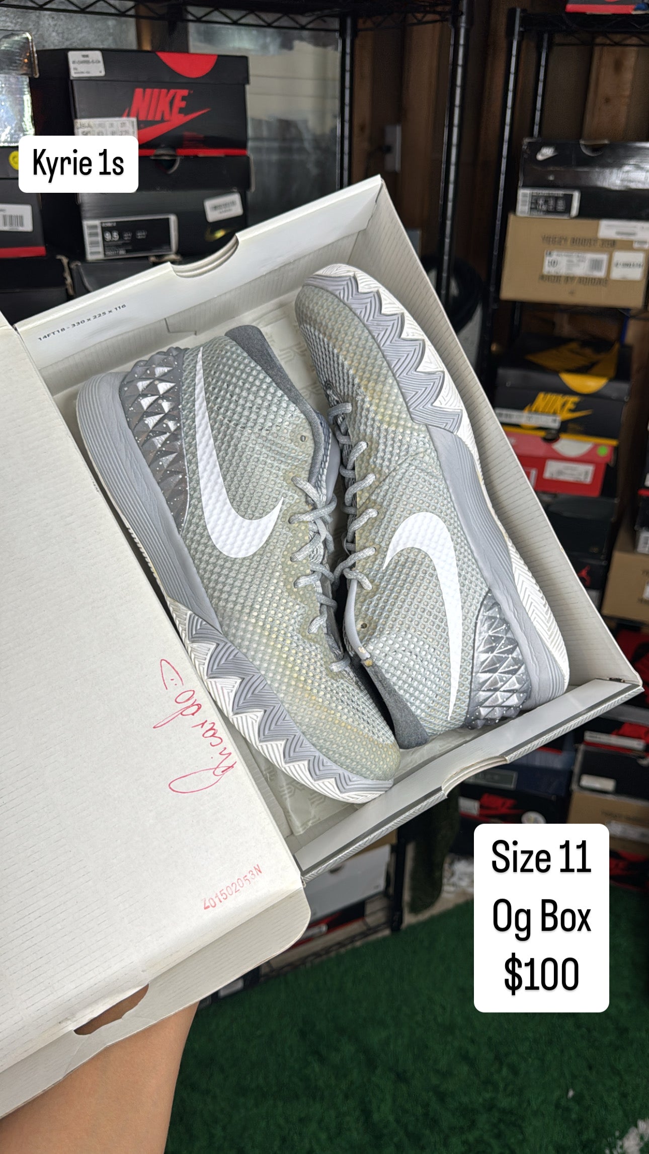 Wolf Grey Kyrie 1 (11)