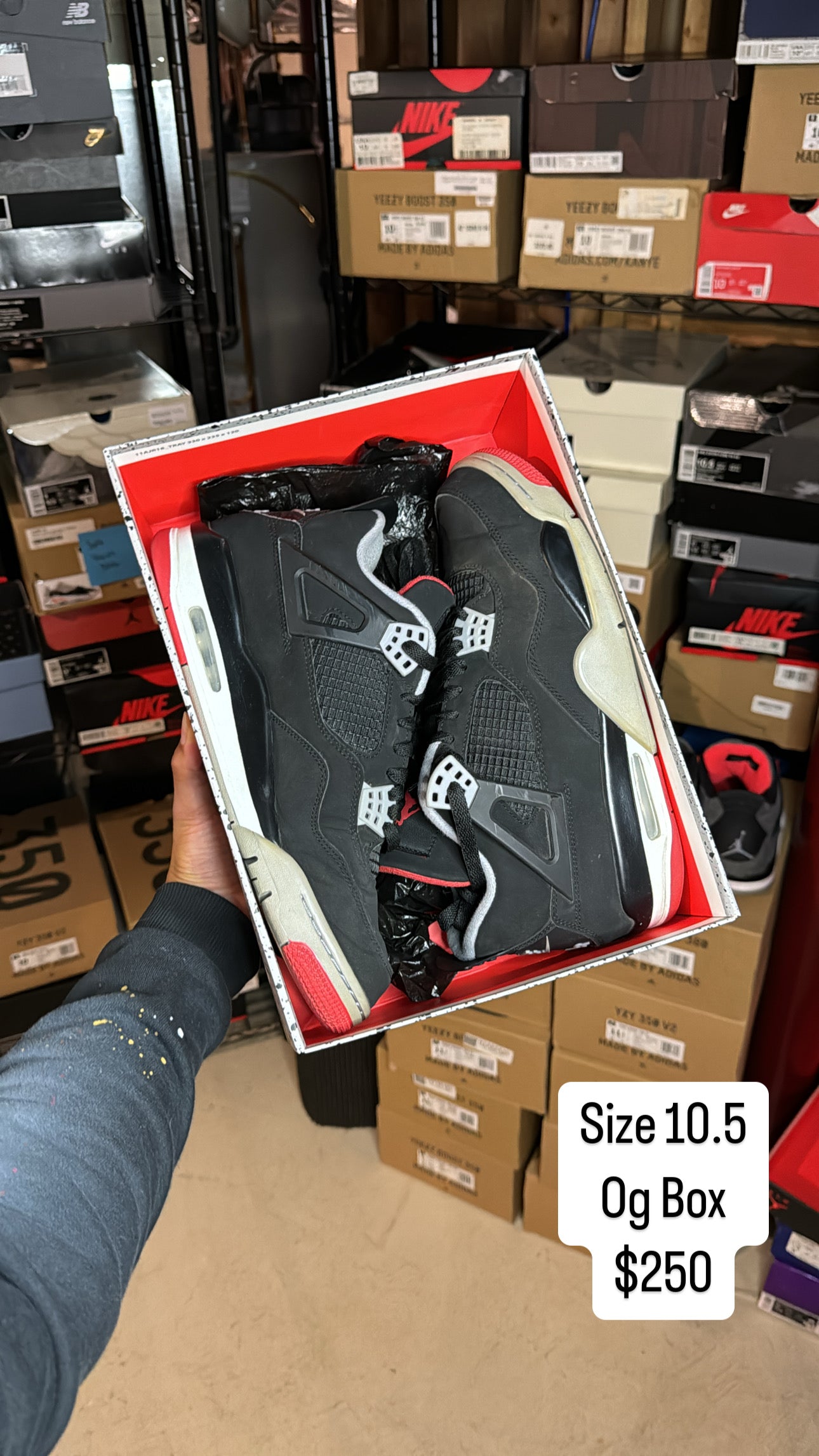 Bred 4 (10.5)