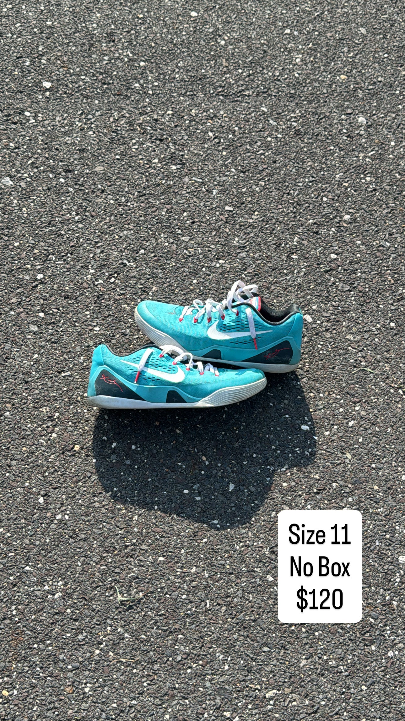 Kobe 9 Dusty Cactus (11)