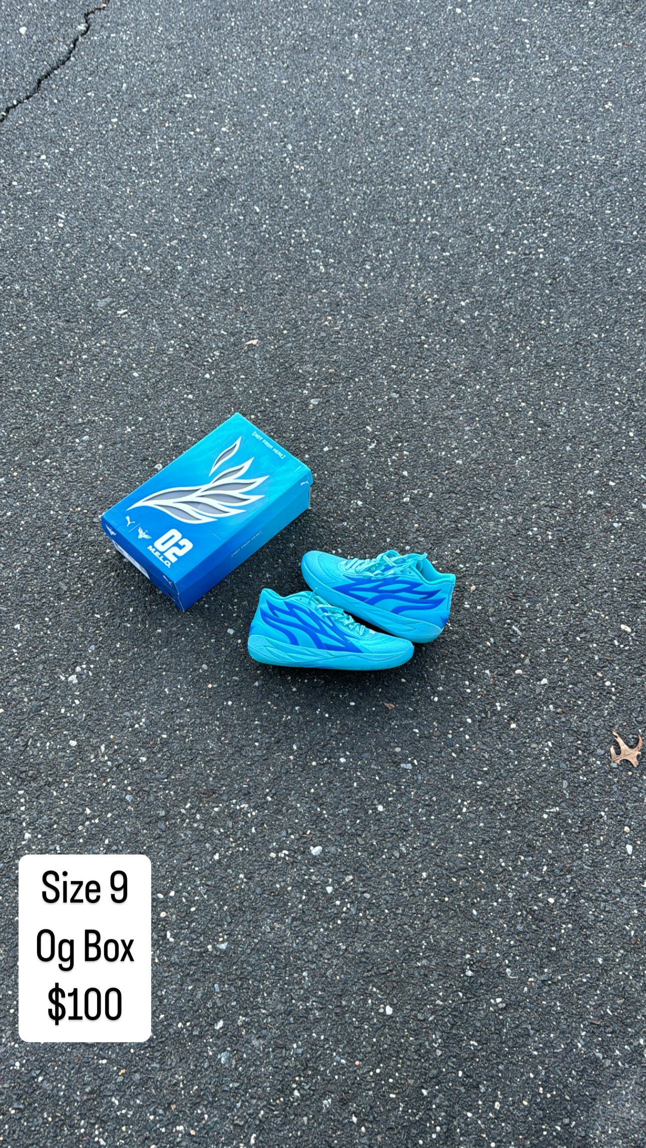 Lamelo ROTY (9)
