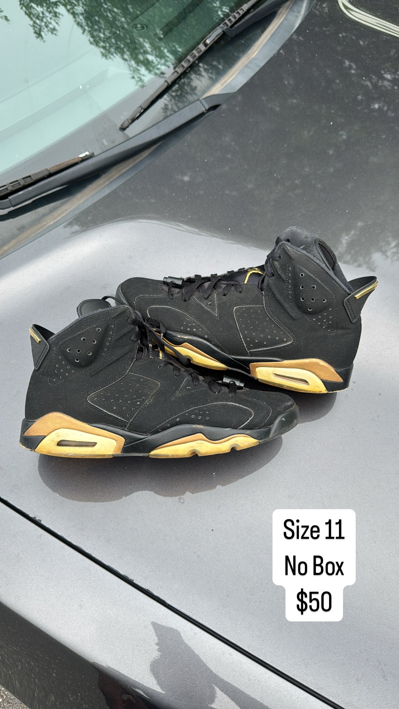 DMP 6 (11)