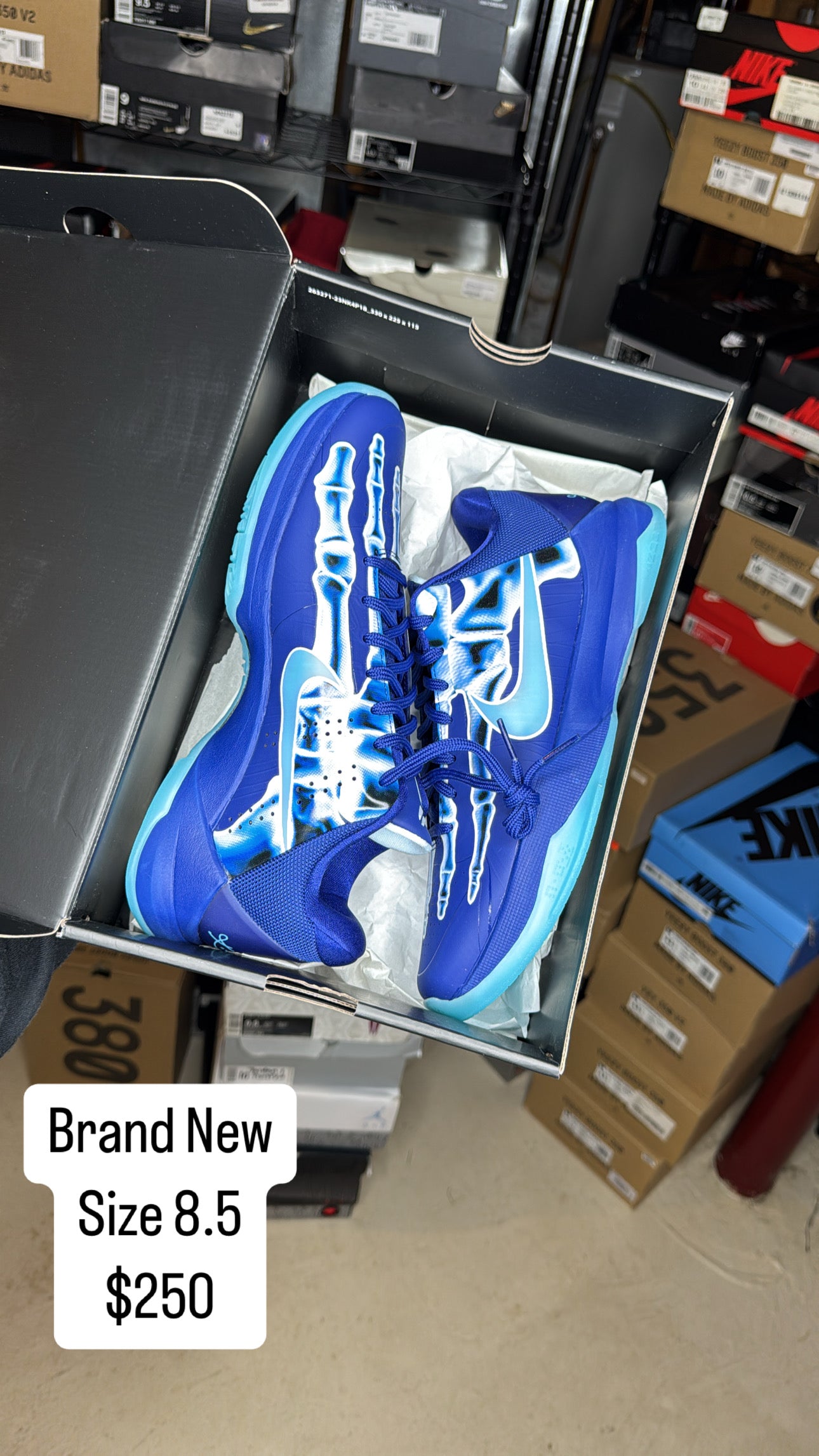 DS Kobe X-ray (8.5)