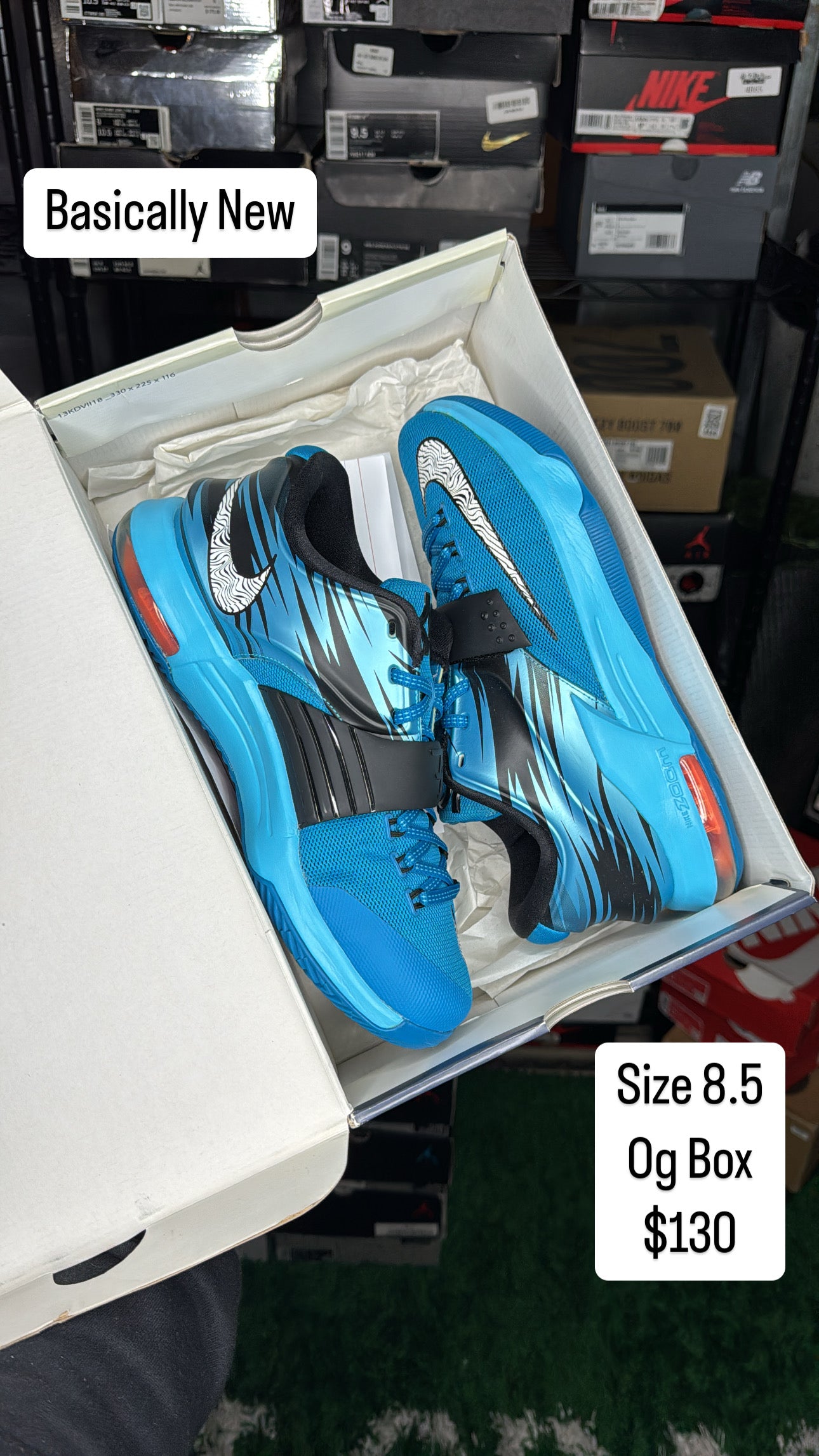 KD7 Clear water (8.5)