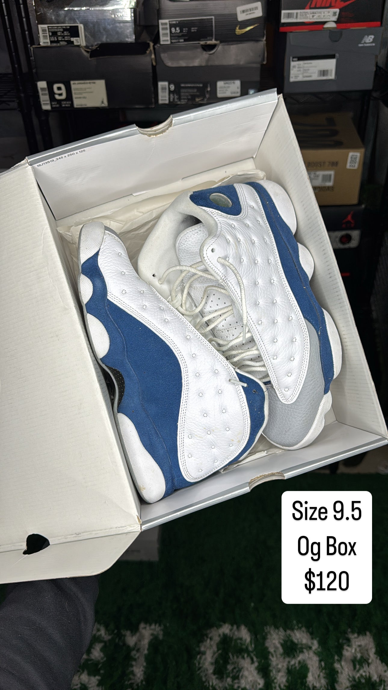 True Blue 13 (9.5)