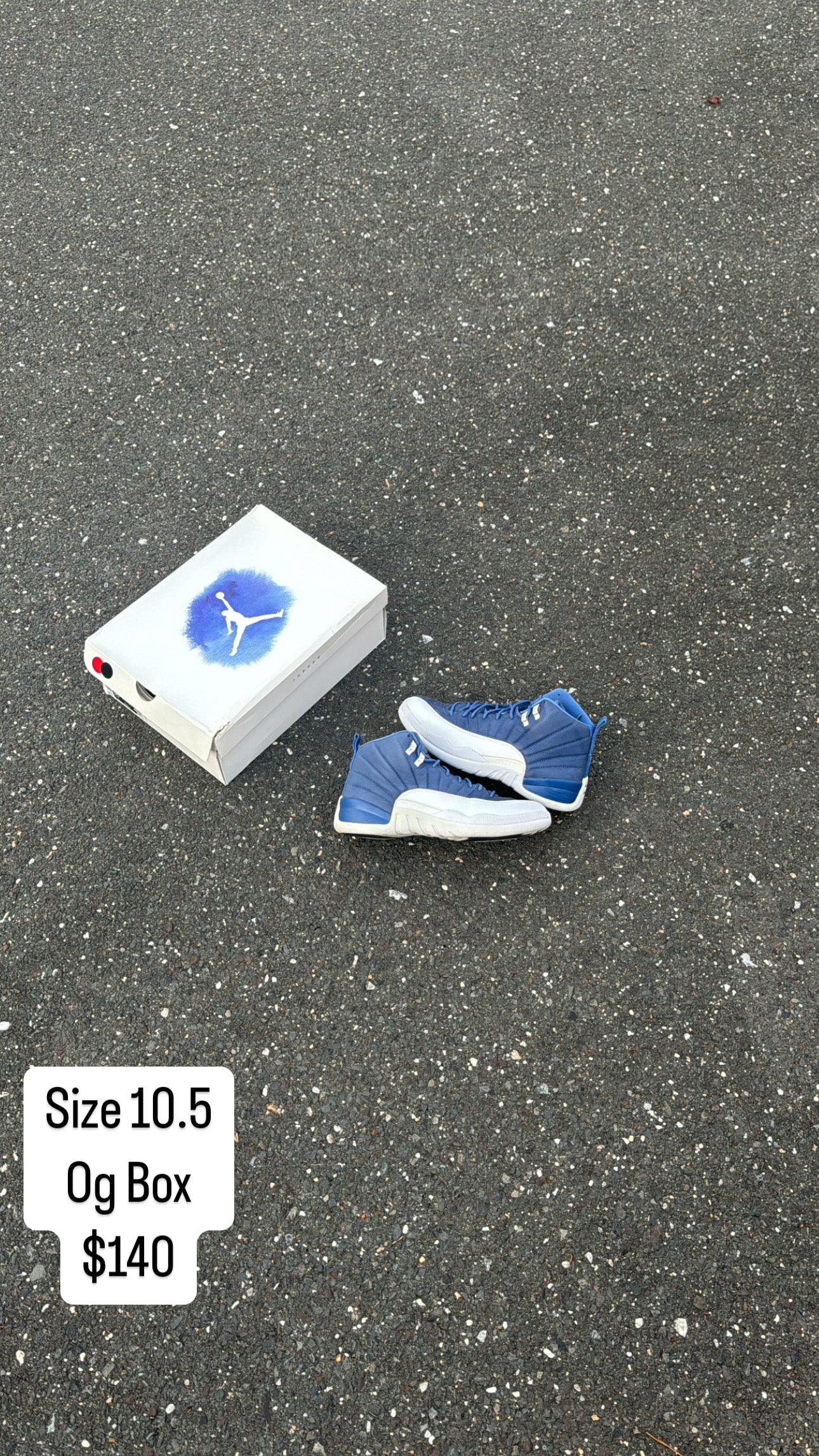 Indigo 12 (10.5)