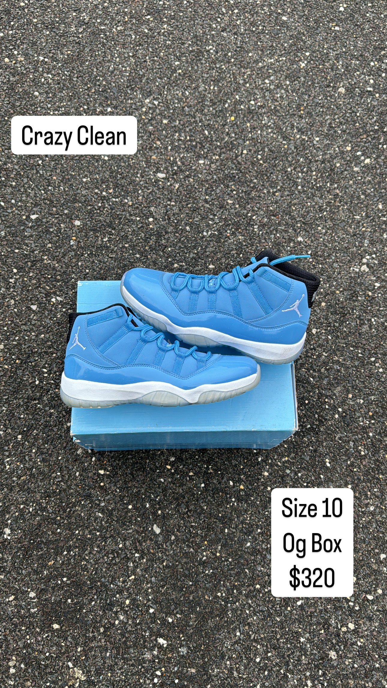 Pantone 11s (10)