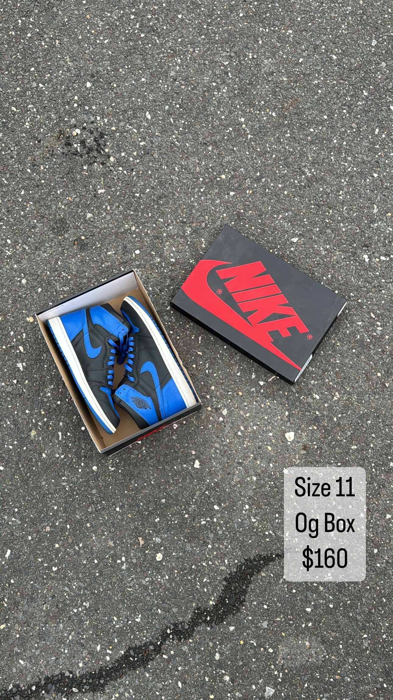 Jordan 1 Royal (11)