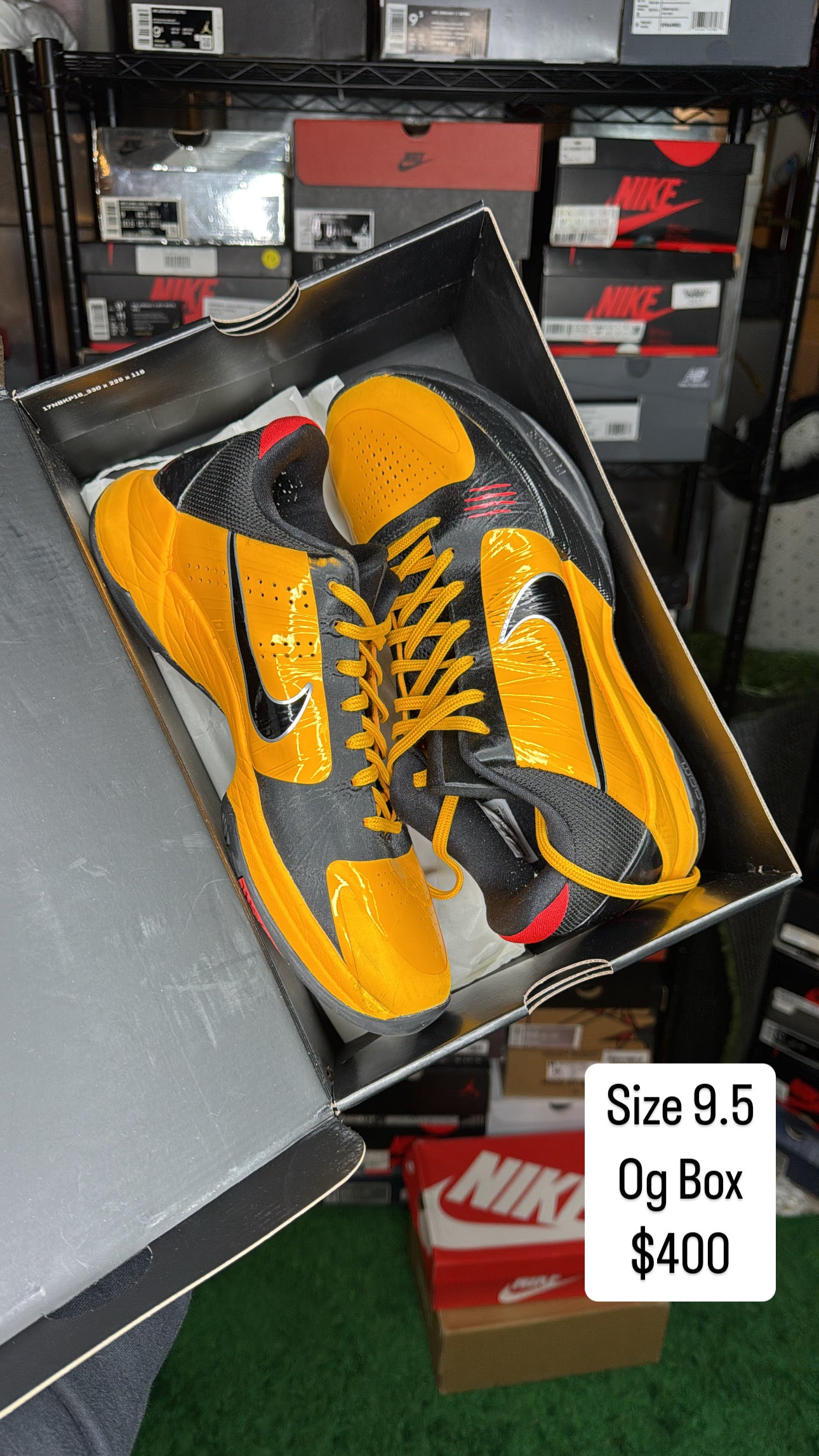 Bruce Lee Kobe 5 (9.5)