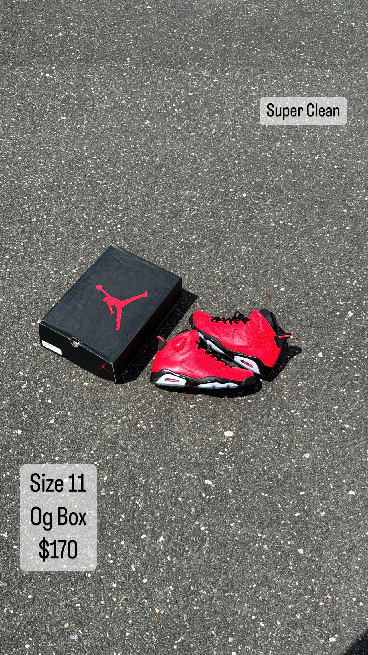 Infrared 23 6s (11)