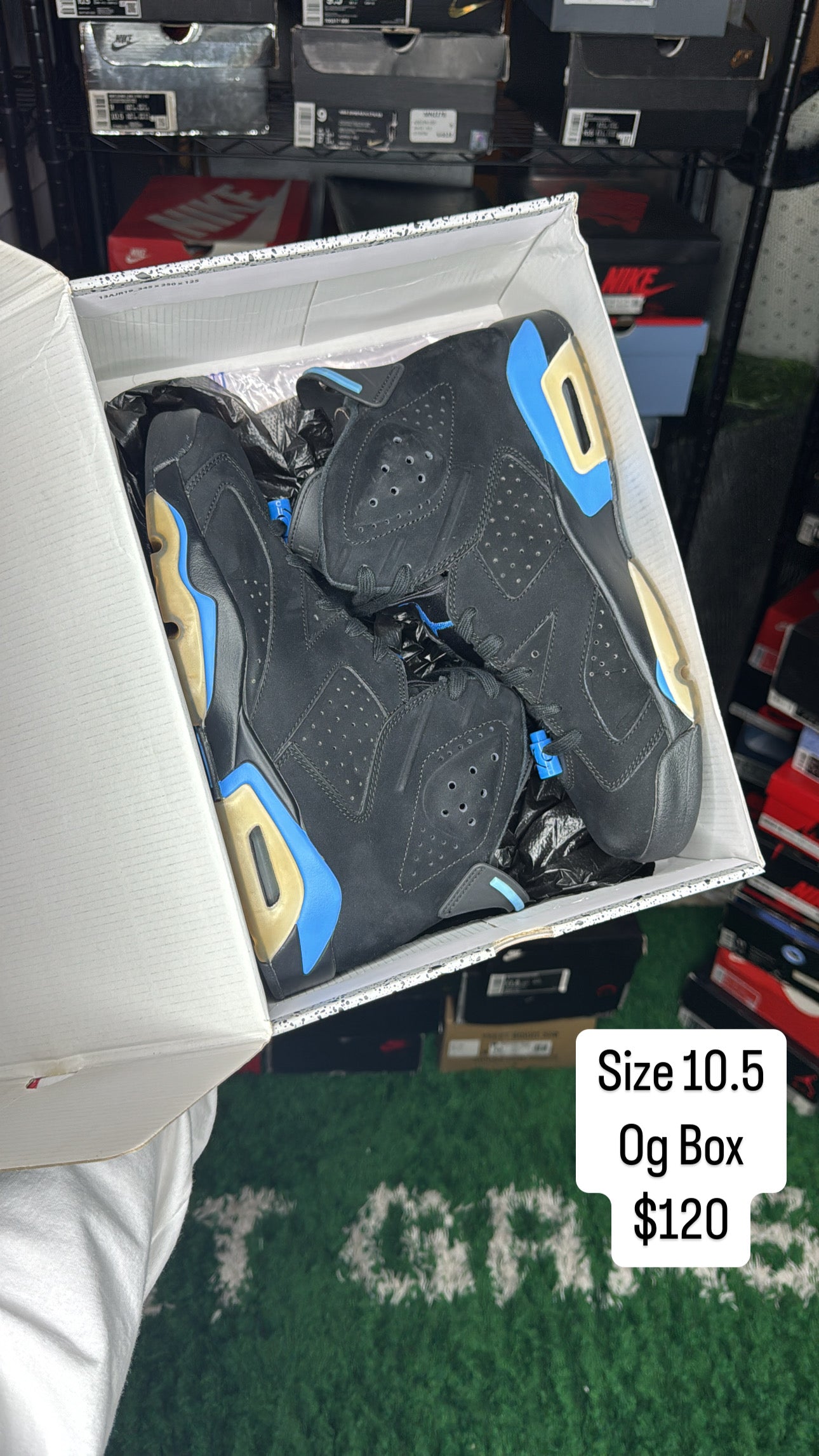 Unc 6s (10.5)