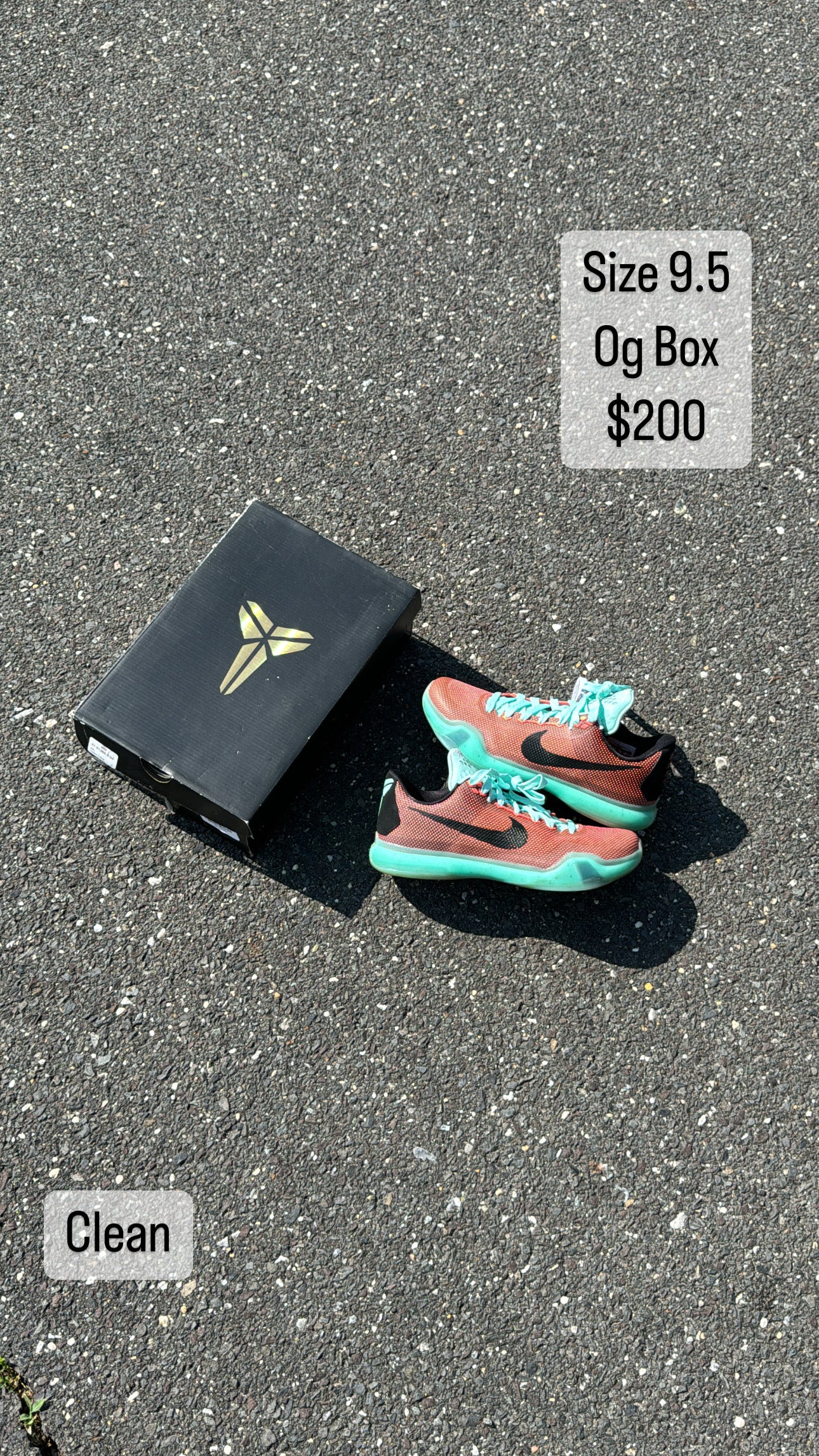 Kobe X Easter (9.5)