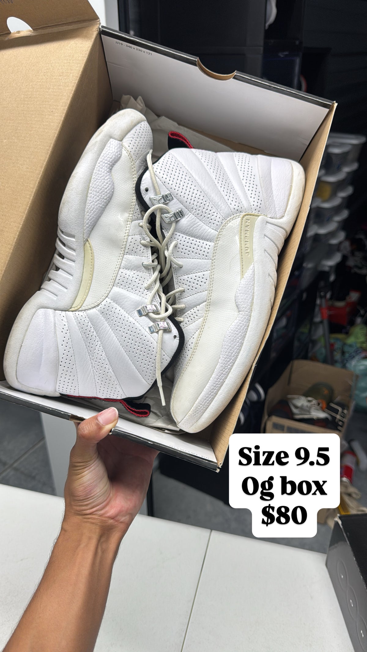 White 12s (9.5)