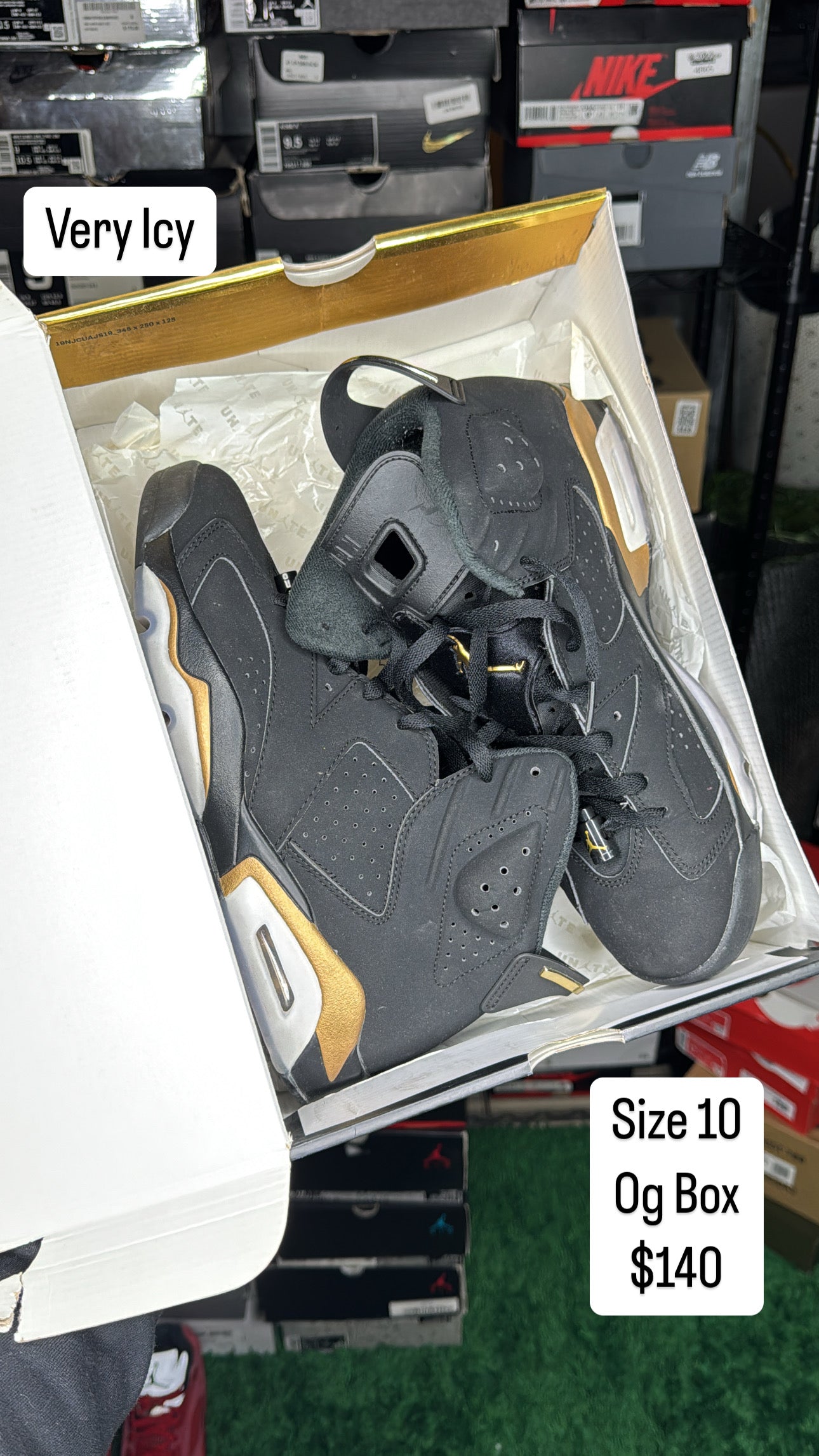 DMP 6 (10)