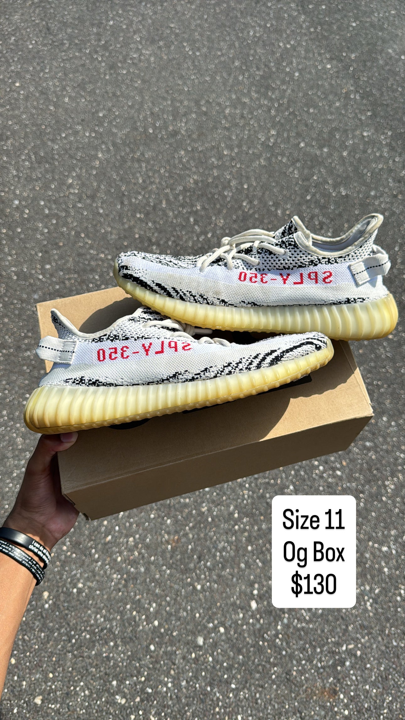 Zebra 350 (11)