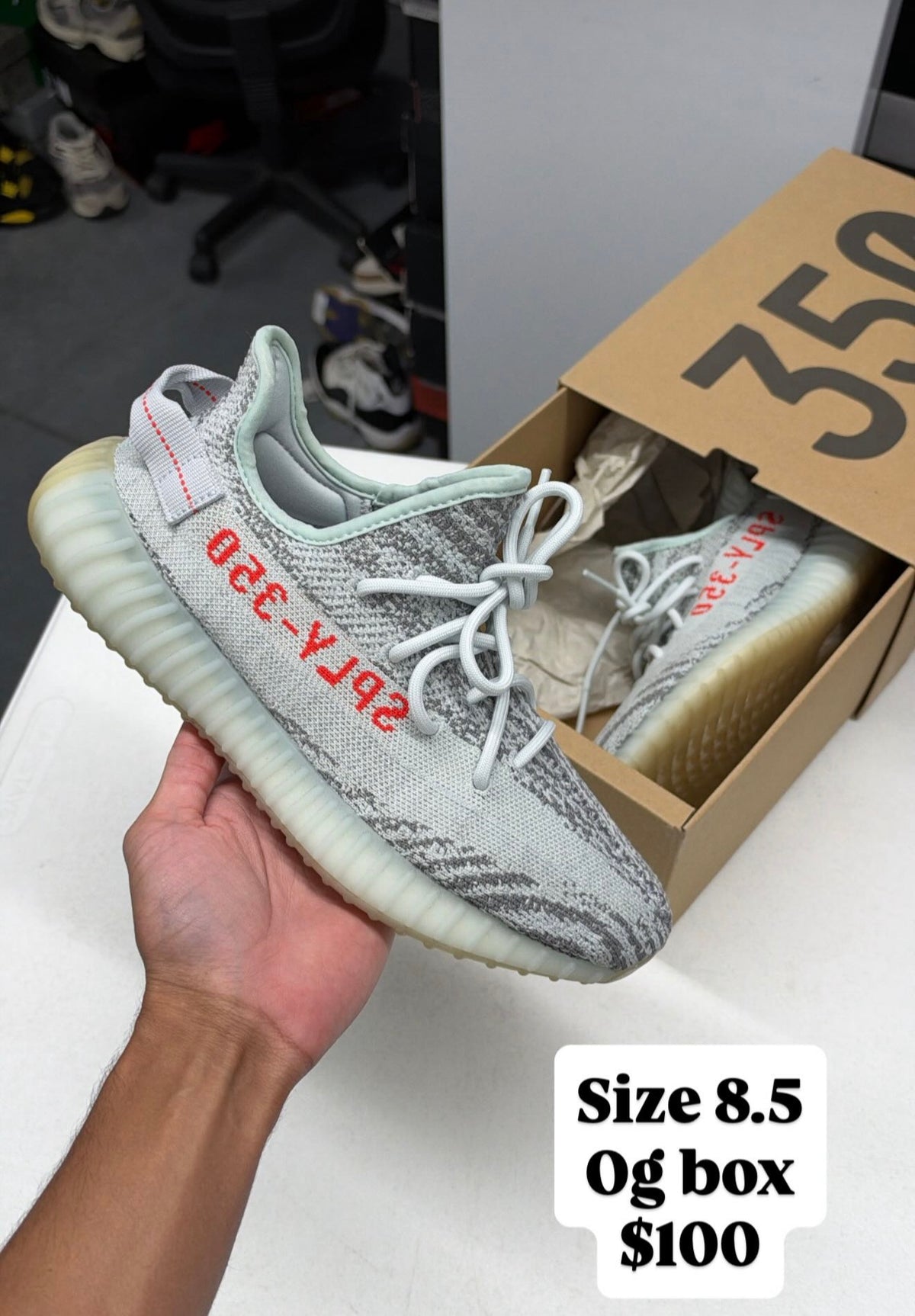 Blue tint 350 (8.5)