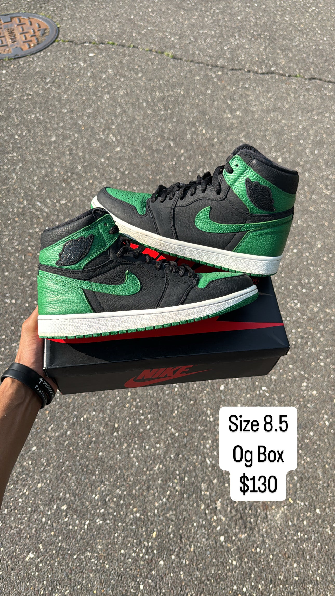Pine Green 1 2.0 (8.5)
