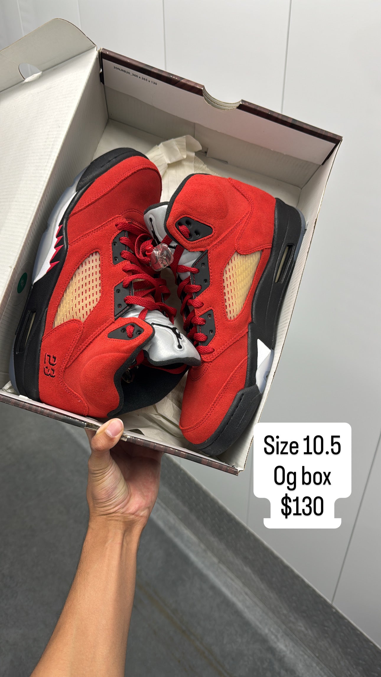 Raging Bull 5 (10.5)
