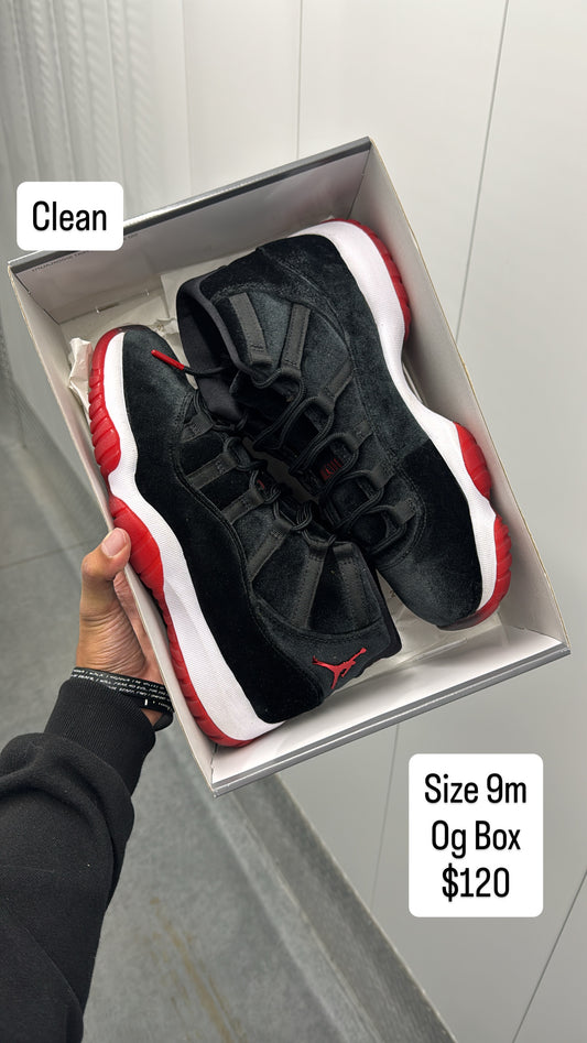 Velvet Bred 11 (9m)