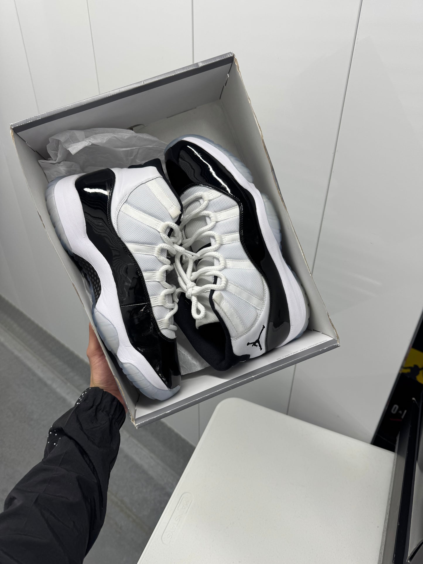 Concord 11 (11.5)