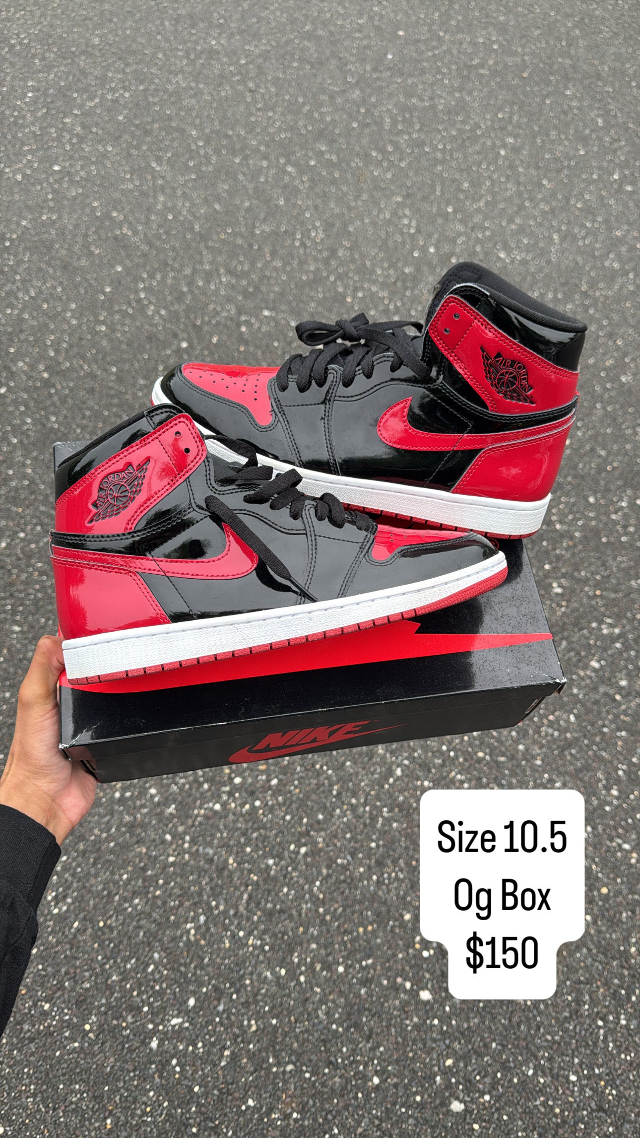 Patent Bred 1 (10.5)