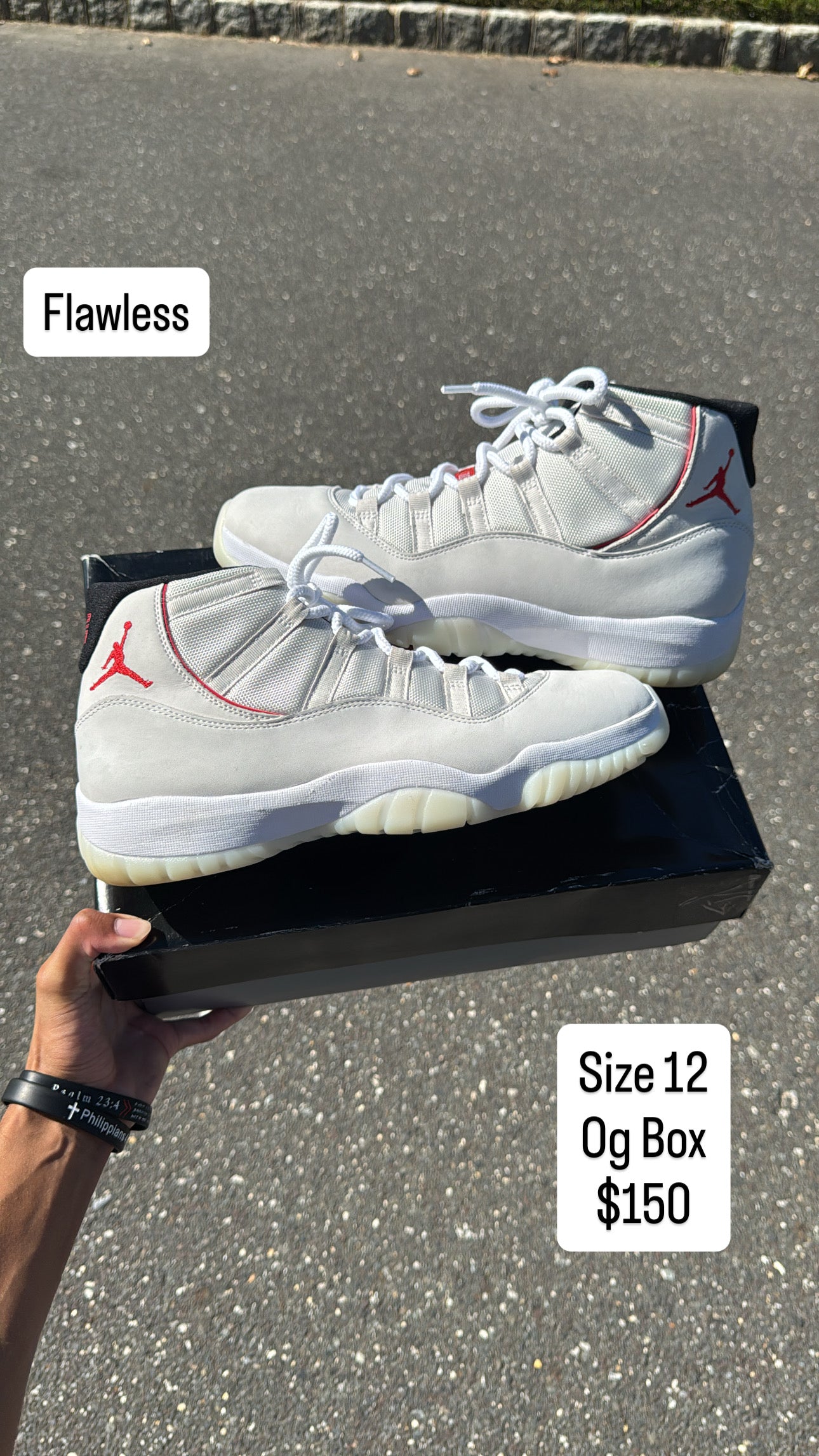 Platinum Tint 11 (12)