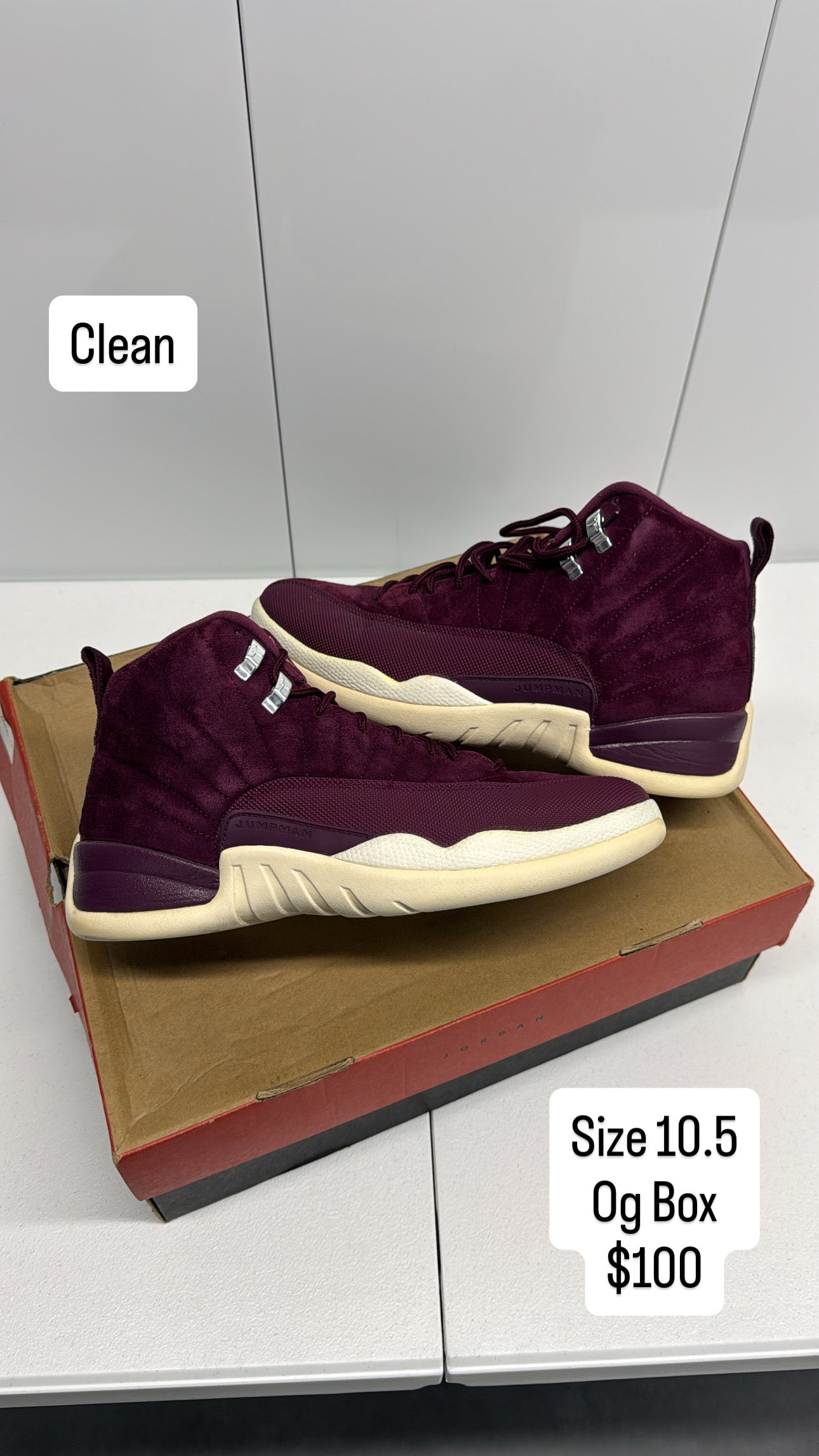 Bordo 12 (10.5)