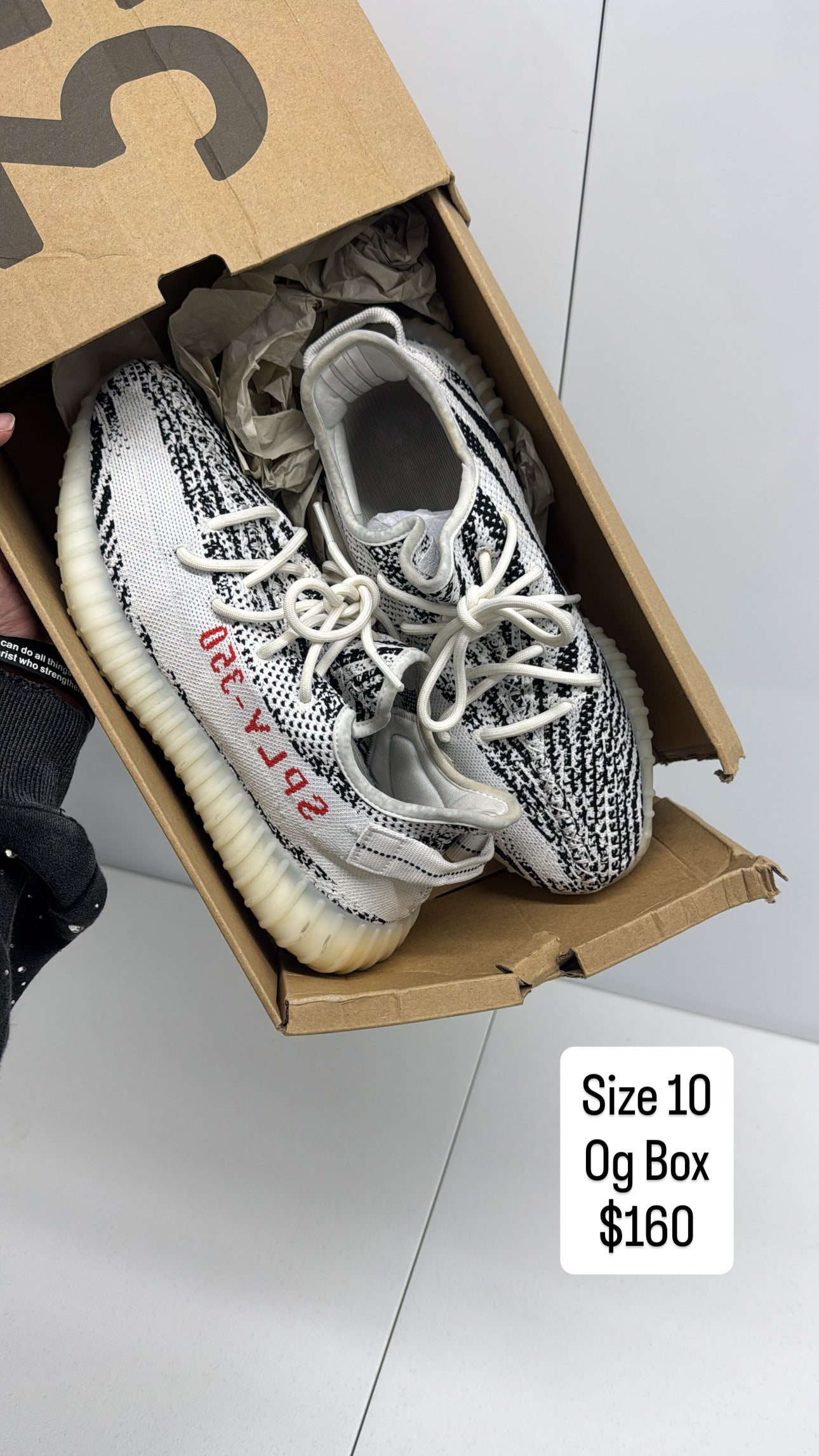 Zebra 350 (10)