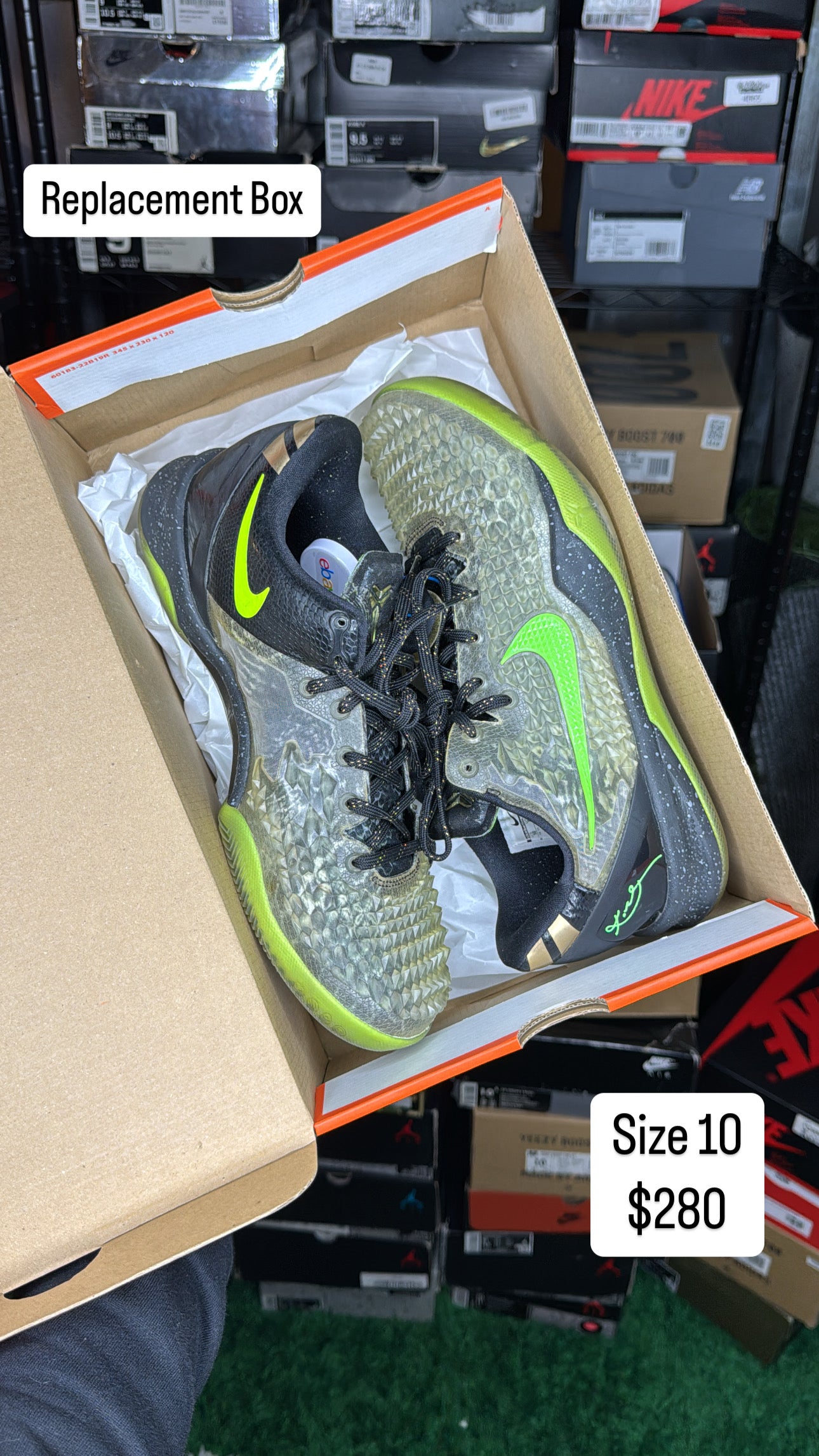 Christmas Kobe 8 (10)