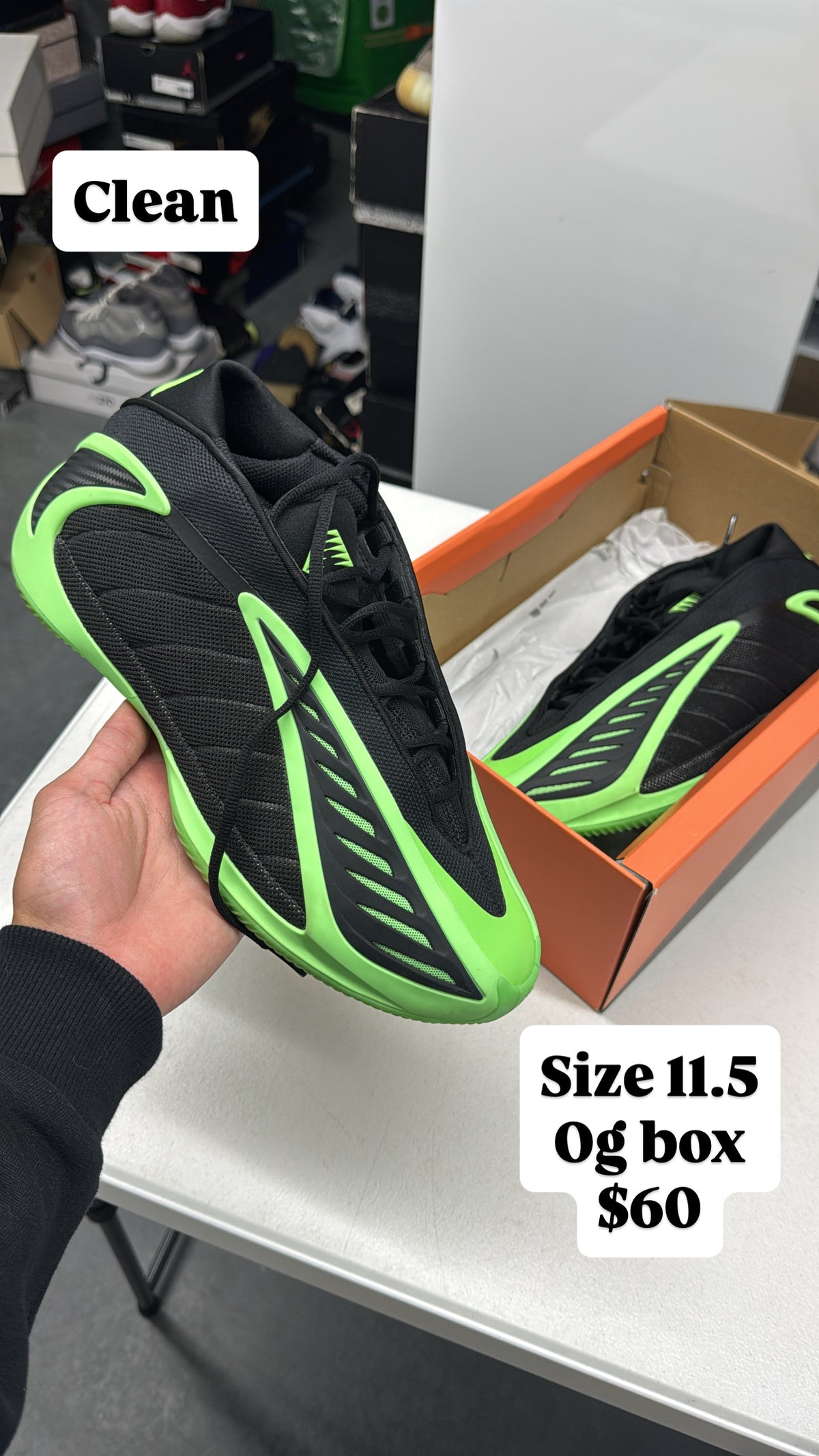 AE1 Green (11.5)