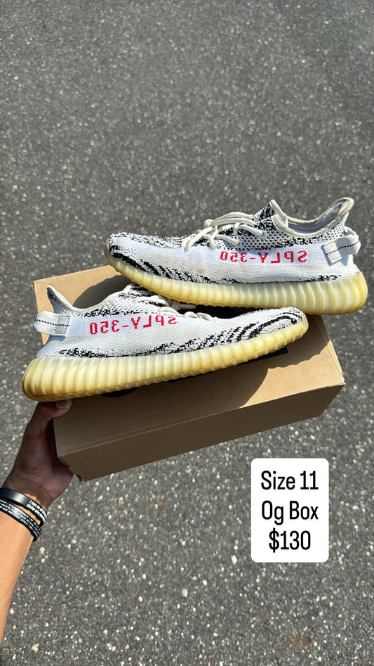 Zebra 350 (11)
