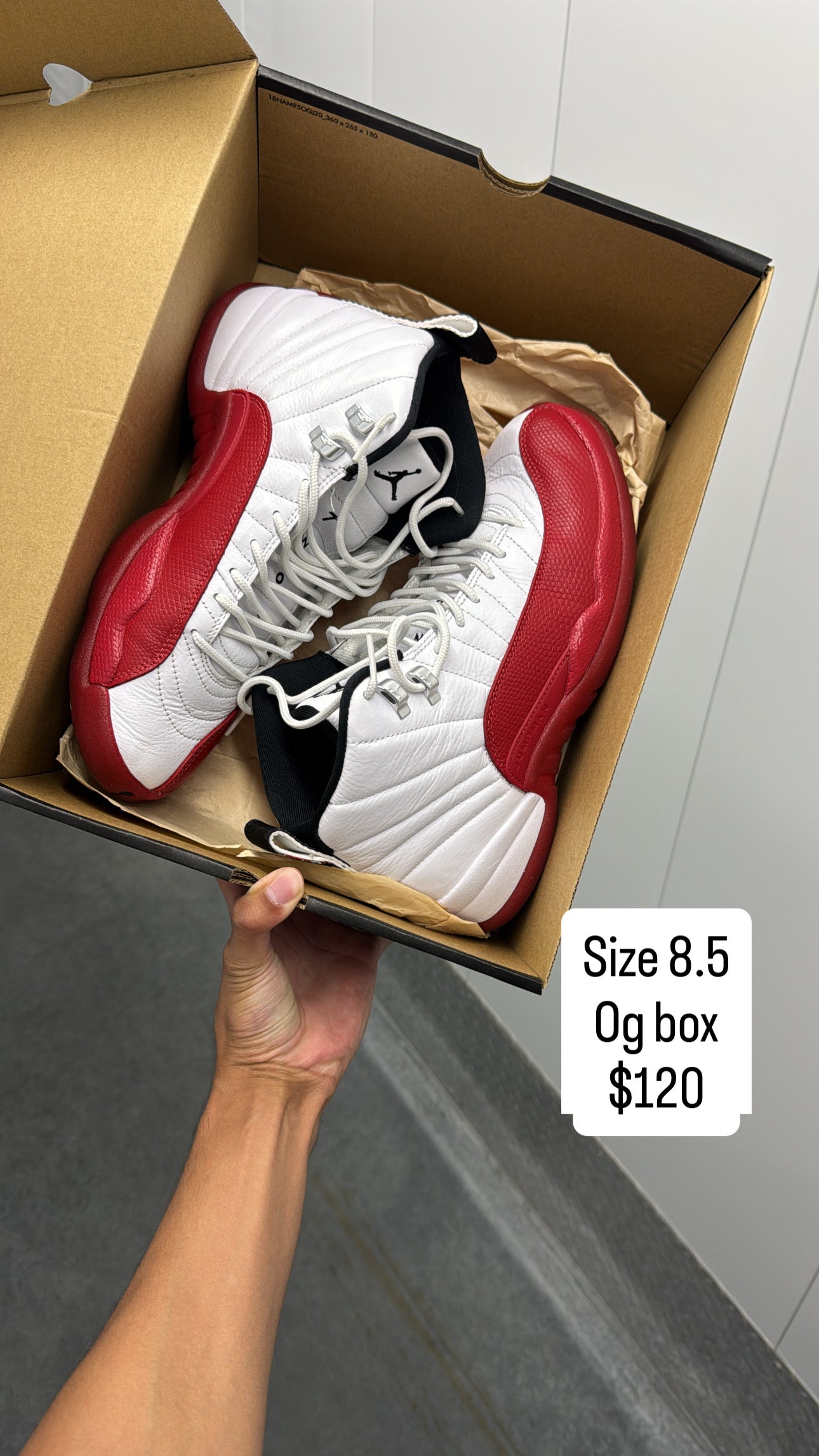 Cherry 12 (8.5)